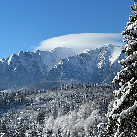 Pine Peak Apartments Predeal Eksteriør bilde