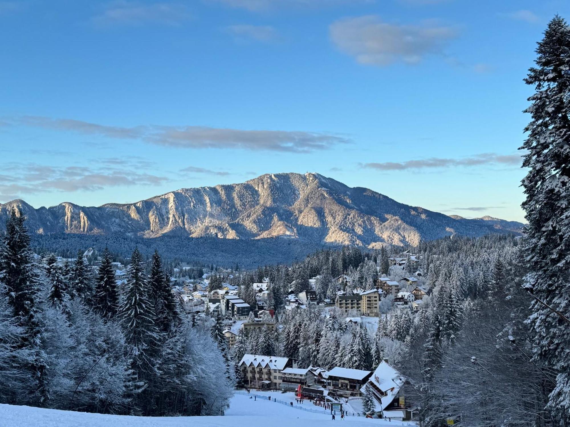 Pine Peak Apartments Predeal Eksteriør bilde