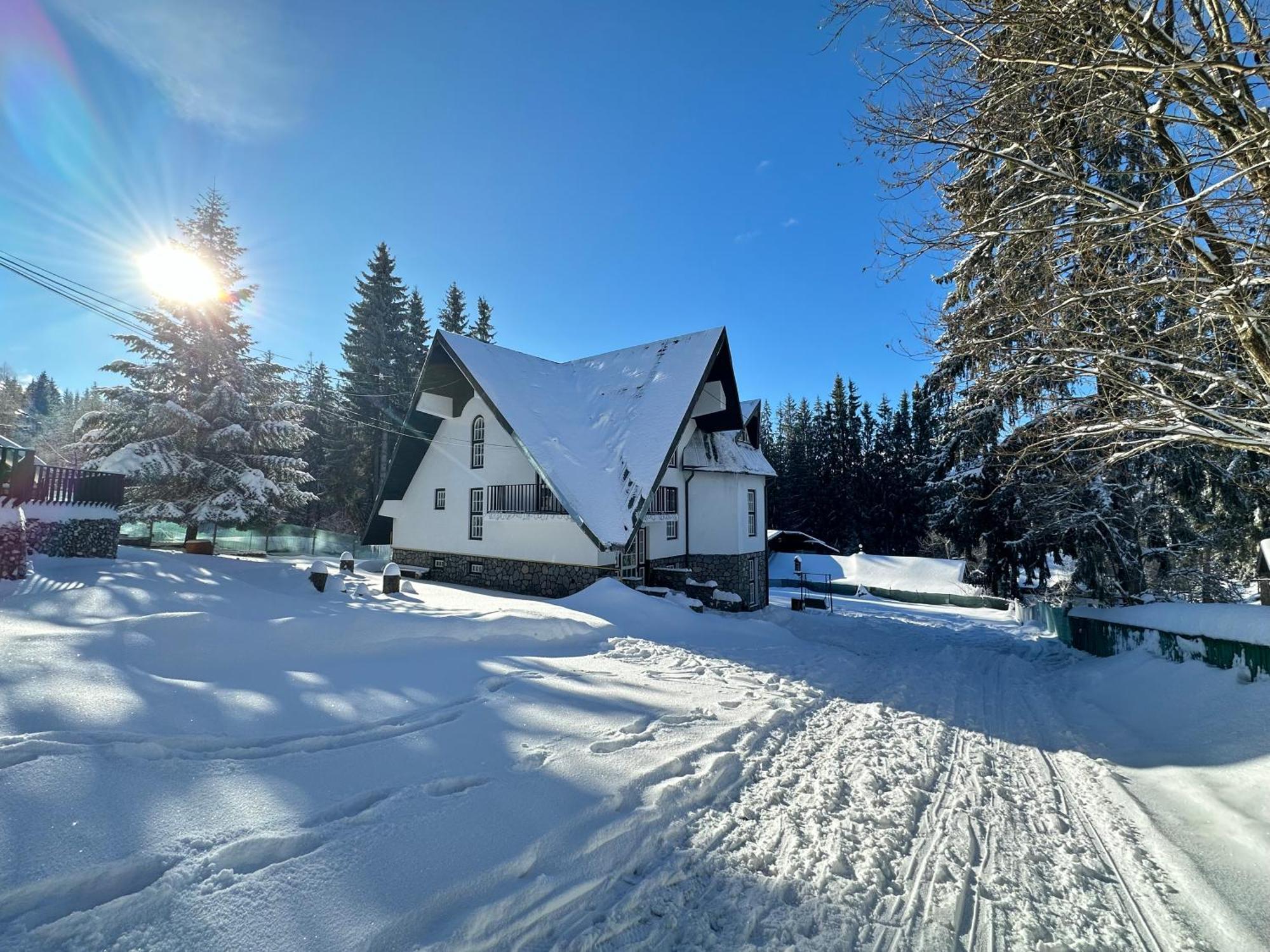 Pine Peak Apartments Predeal Eksteriør bilde