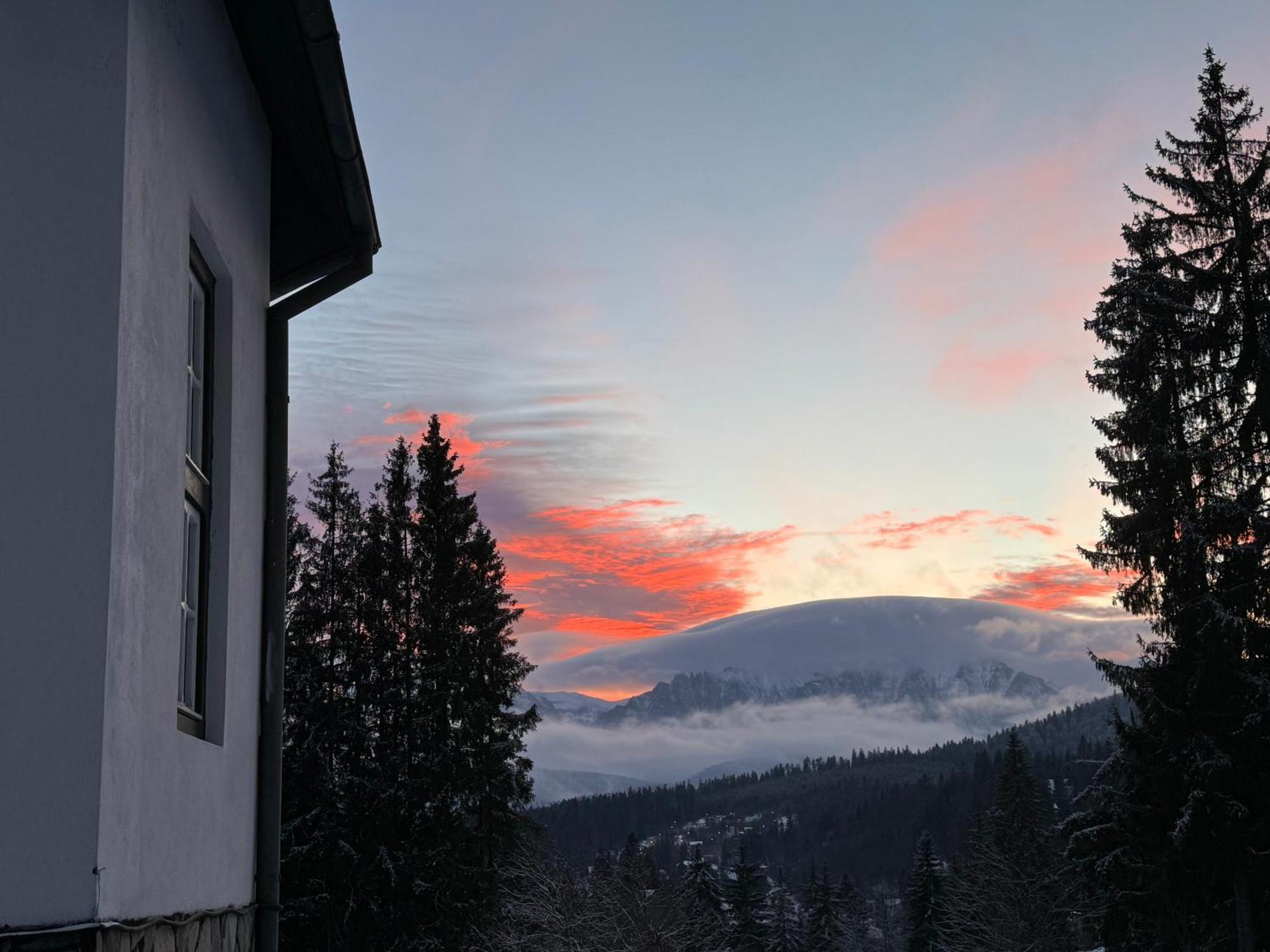 Pine Peak Apartments Predeal Eksteriør bilde
