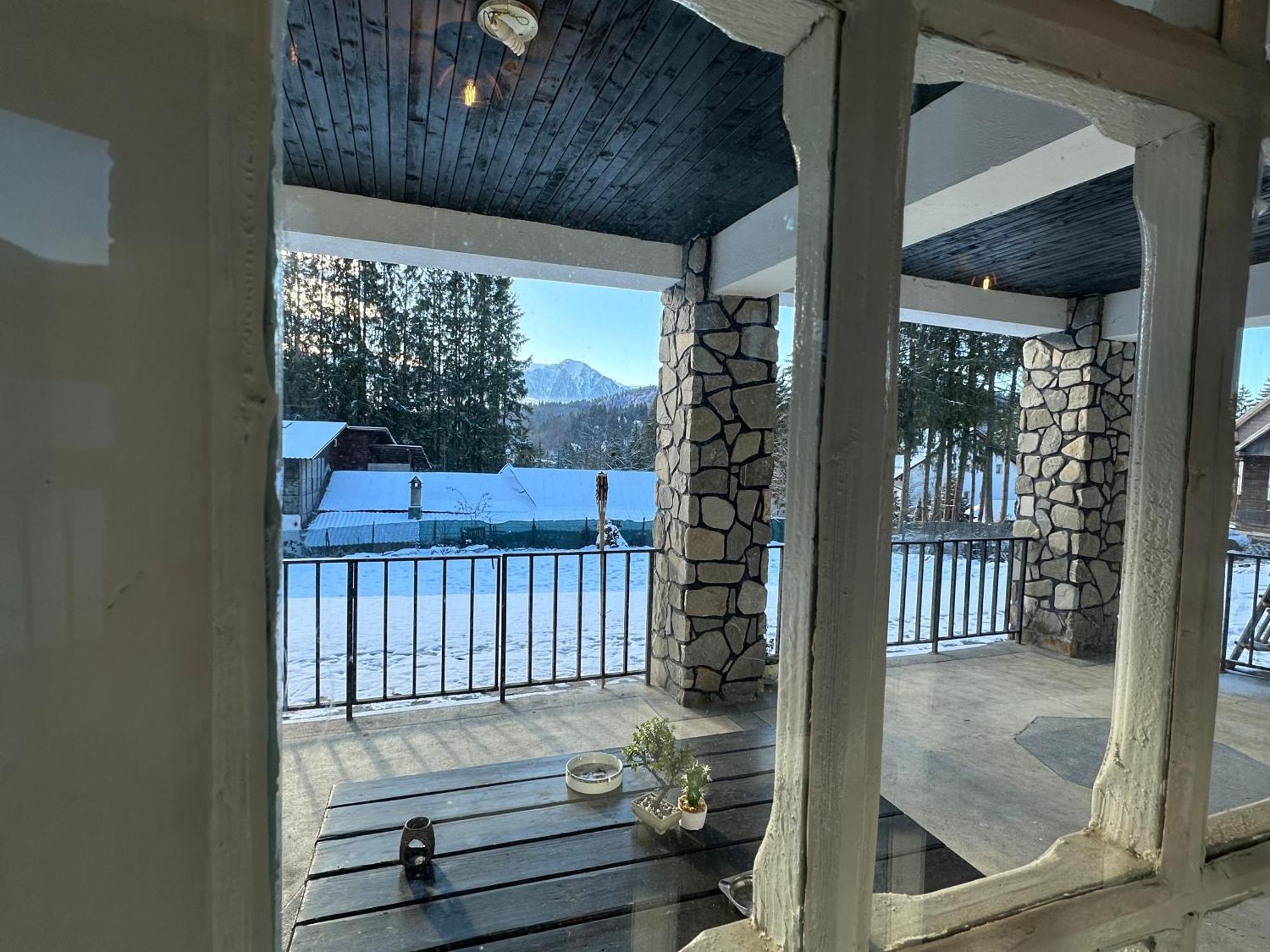 Pine Peak Apartments Predeal Eksteriør bilde
