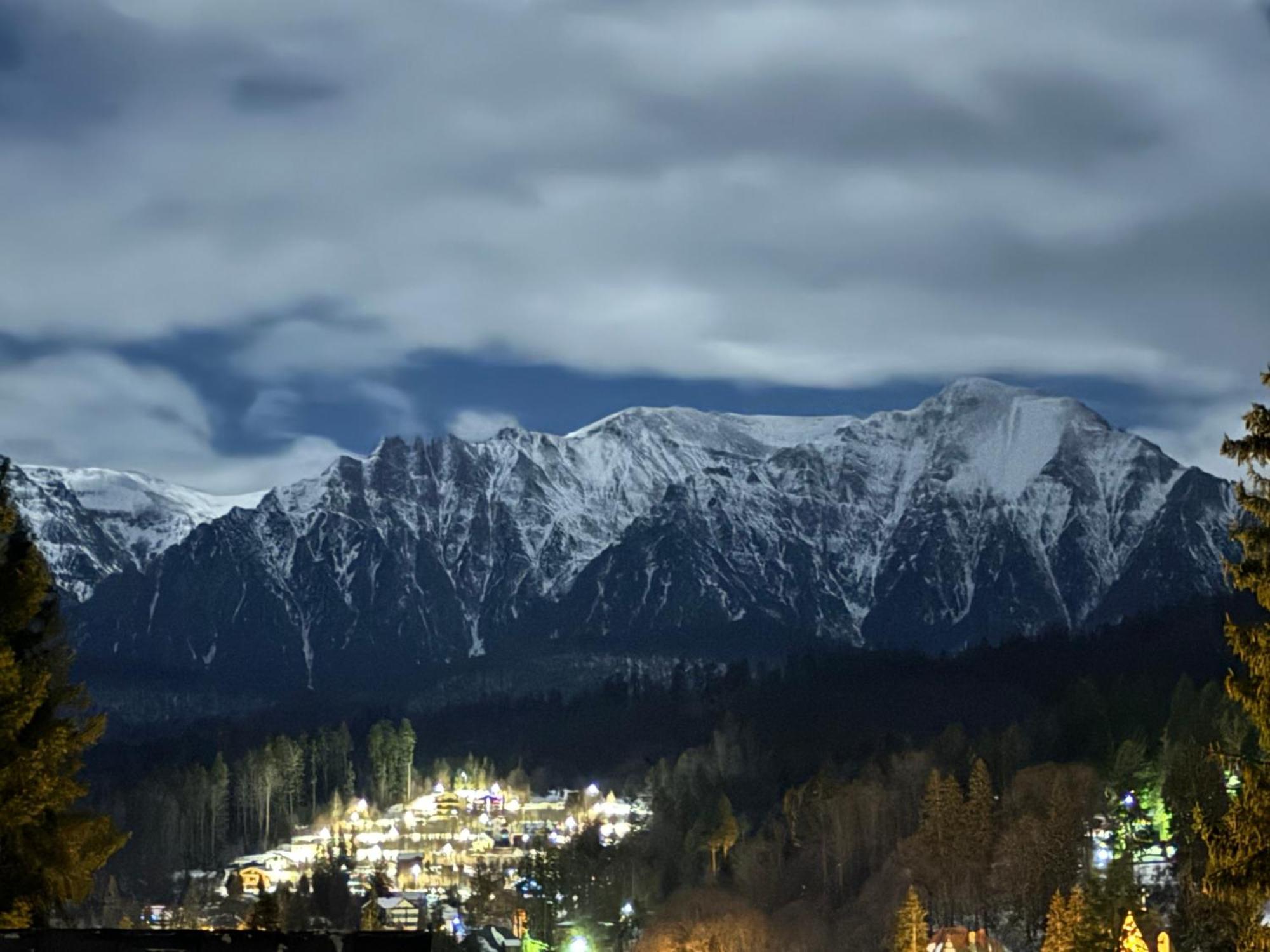 Pine Peak Apartments Predeal Eksteriør bilde