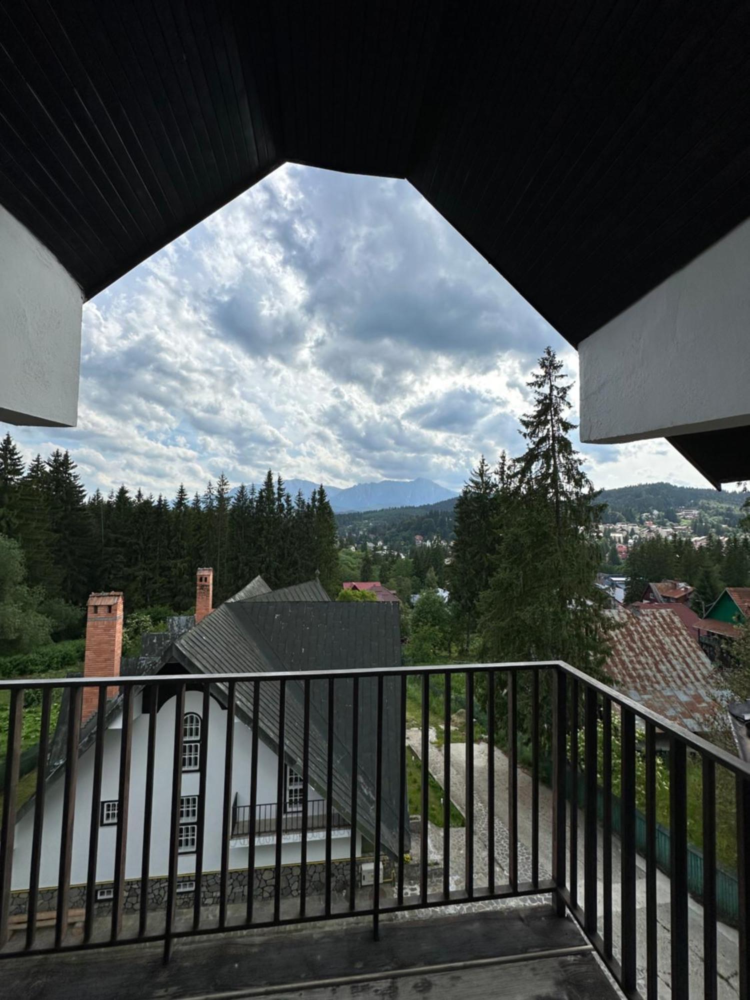 Pine Peak Apartments Predeal Eksteriør bilde