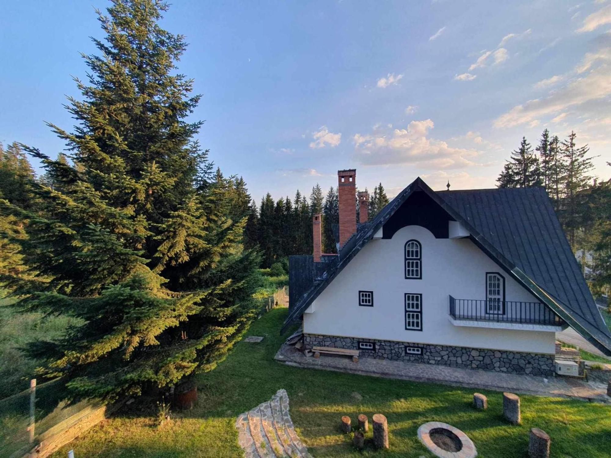 Pine Peak Apartments Predeal Eksteriør bilde