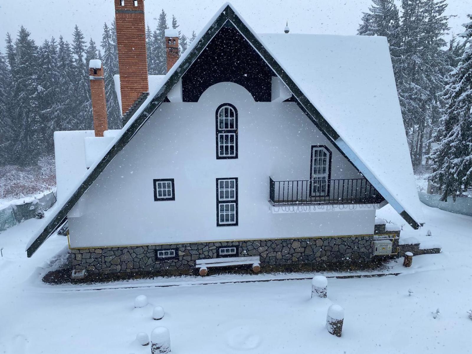 Pine Peak Apartments Predeal Eksteriør bilde